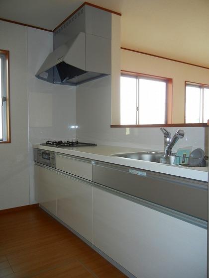 Same specifications photo (kitchen). Other issue areas