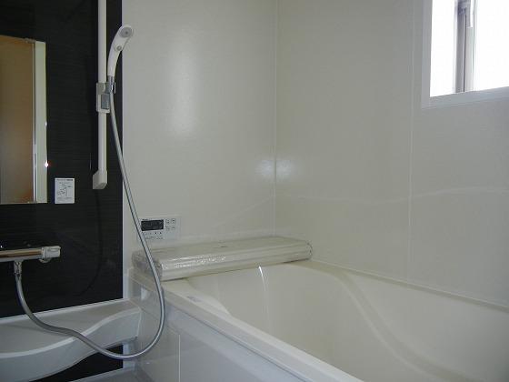 Same specifications photo (bathroom). Other issue areas