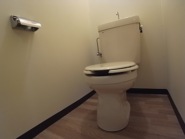 Toilet. Toilet