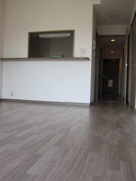 Living and room. Face-to-face kitchen