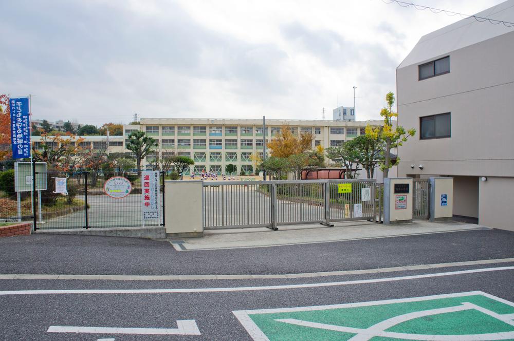 Primary school. Morning mist until the elementary school 780m