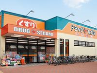 Dorakkusutoa. Drag Segami Nishi Akashi shop 481m until (drugstore)