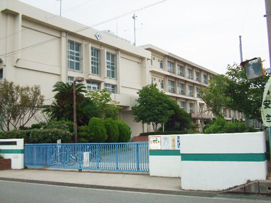 Primary school. 982m until the Akashi Municipal Shimizu Elementary School