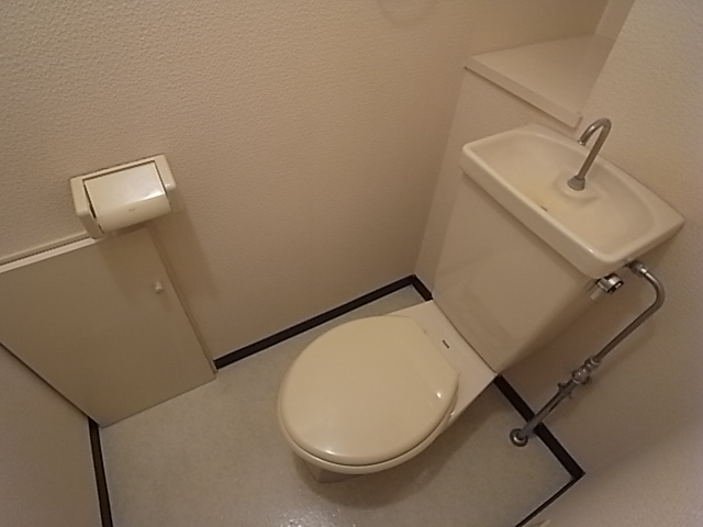 Toilet. Toilet