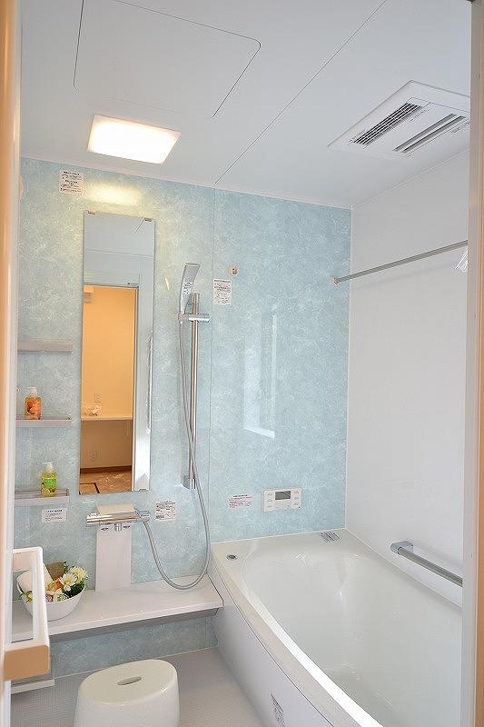 Bathroom. TOTO system bus