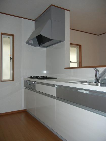 Kitchen. Indoor (12 May 2013) Shooting