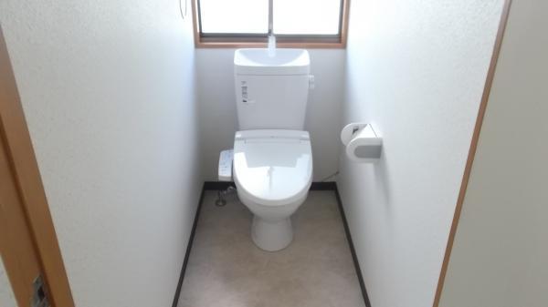 Toilet. It is a new toilet It was sewage connection