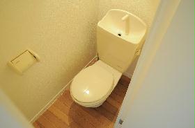 Toilet. bath, Toilet separate type
