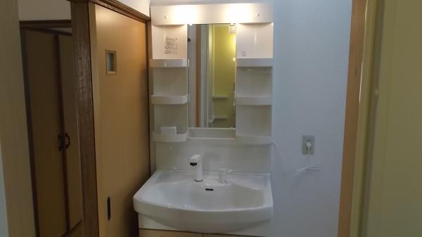 Wash basin, toilet. New vanity