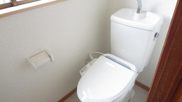 Toilet. New toilet exchange