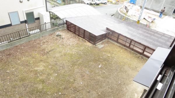 Garden. Vegetable garden space