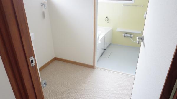 Wash basin, toilet. Vanity dressing room space