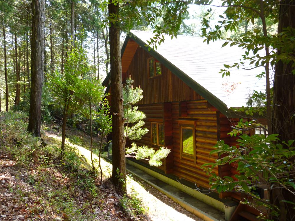 Local appearance photo. Local (April 2013) Shooting