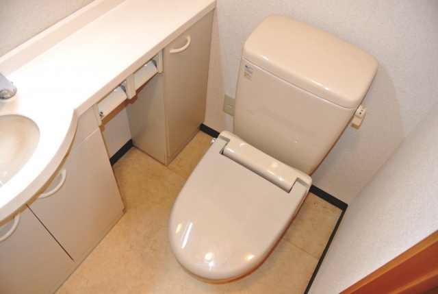 Toilet. Toilet with warm toilet