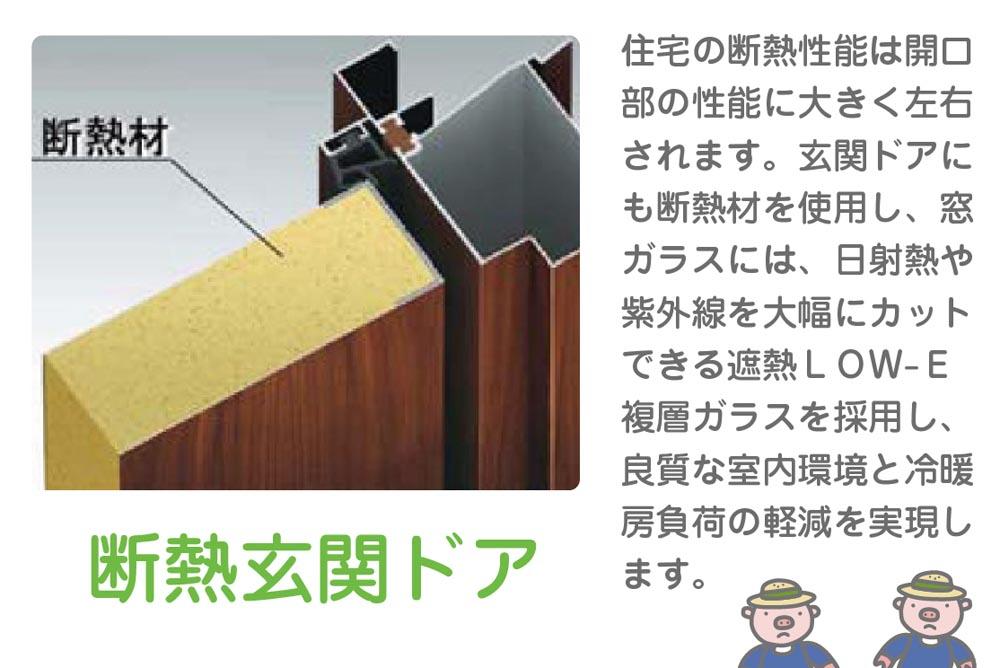 Other. Entrance door also sufficient thermal insulation effect! 