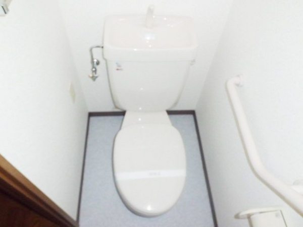 Toilet. Toilet