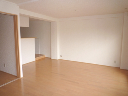 Living and room. Large living!