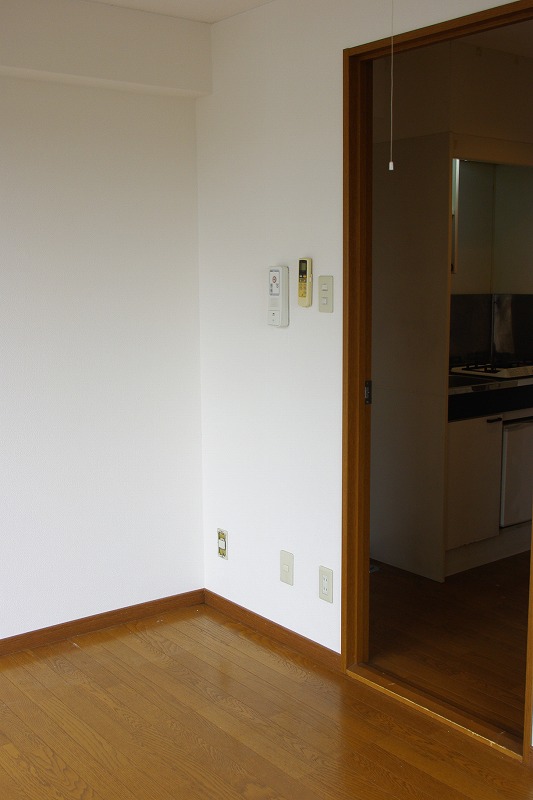 Living and room. Calm room