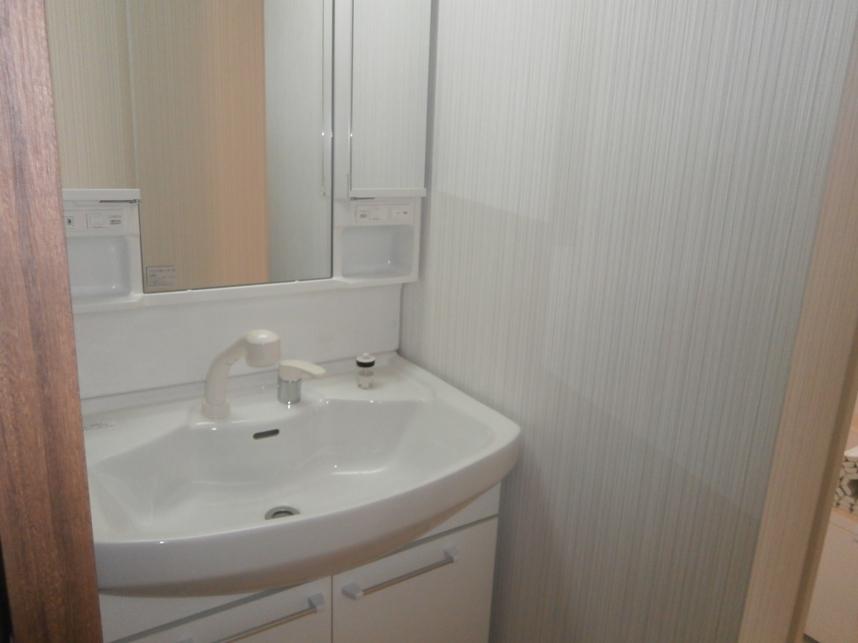 Other introspection. Indoor (10 May 2013) shooting basin