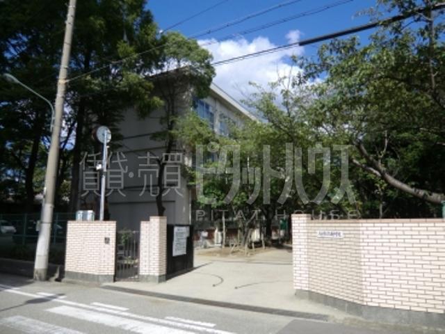 Junior high school. 1118m until the Amagasaki Municipal Taisei Junior High School