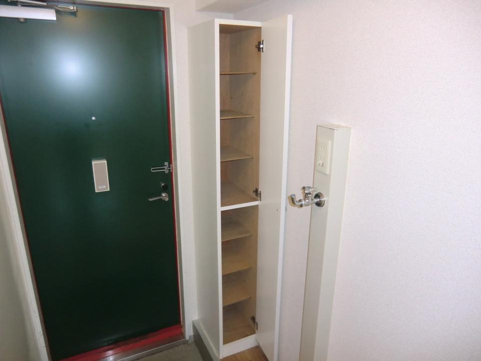 Other. There is also a shoe box