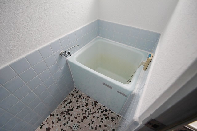 Bath. Bathroom also with window