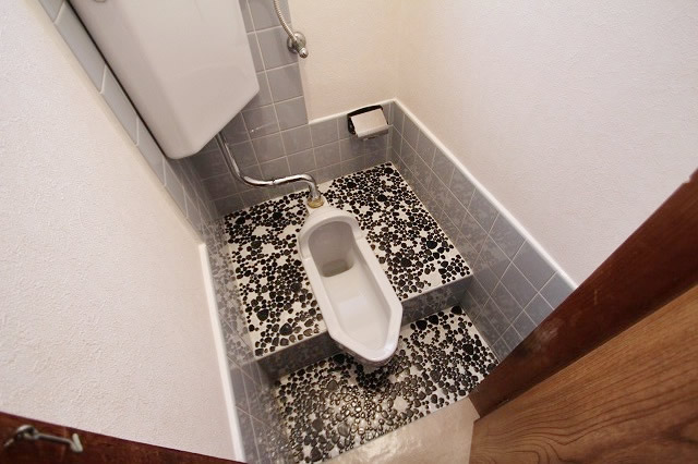 Toilet. Japanese-style toilet