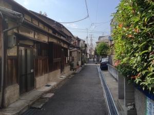 Local land photo. Local Photos