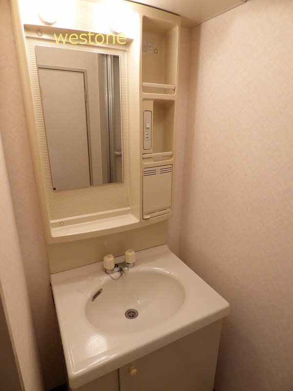 Washroom. Bathroom vanity