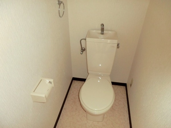 Toilet. Toilet