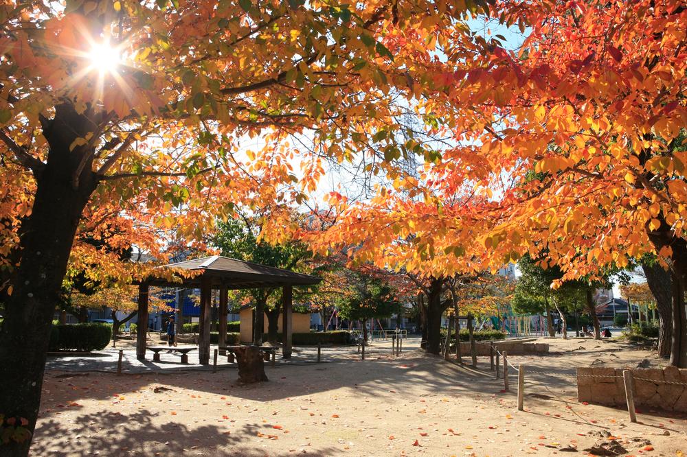 park. 580m to Wakamatsu Park