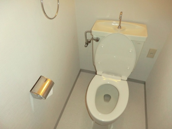 Toilet. Beautiful toilet.