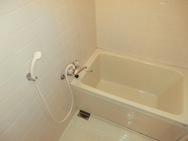 Bath. Shiny bathroom!