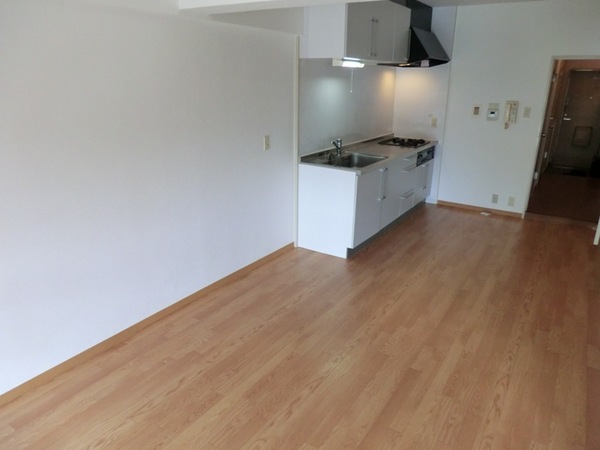 Living and room. It is very large living!