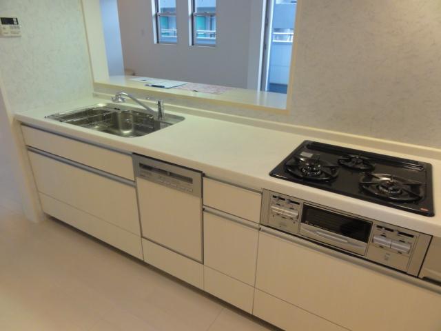 Kitchen. Indoor (12 May 2013) Shooting