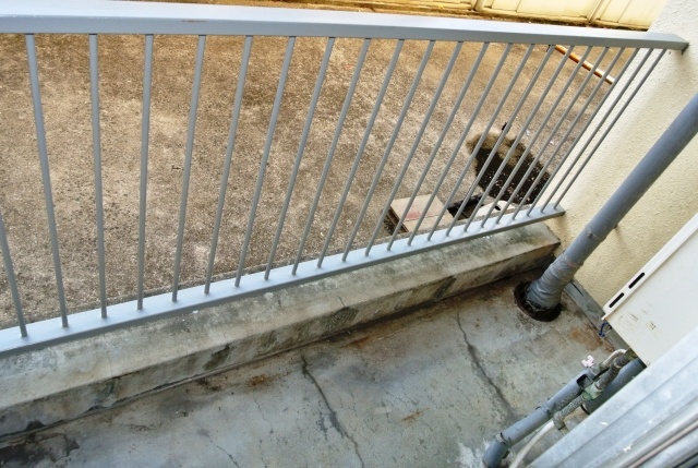Balcony. Washing is also a good feeling