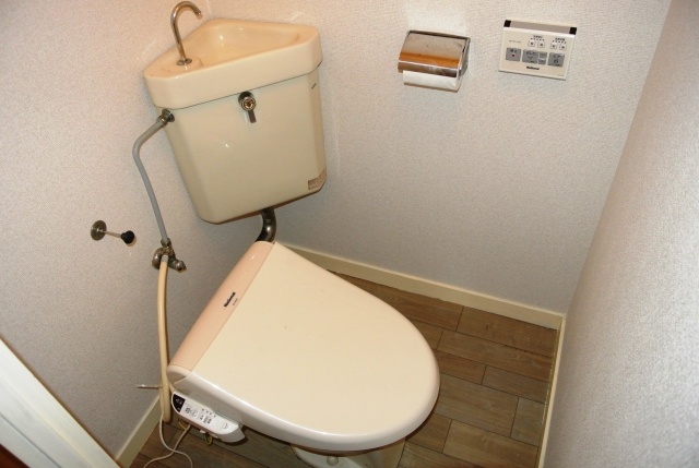 Toilet. Simple and clean Rakuchin