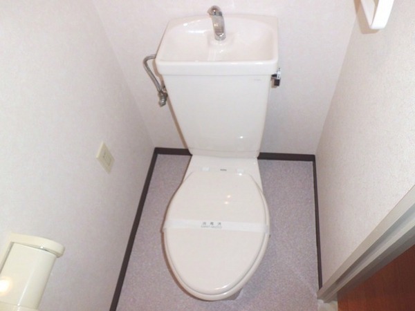 Toilet. Toilet shiny ☆ ☆
