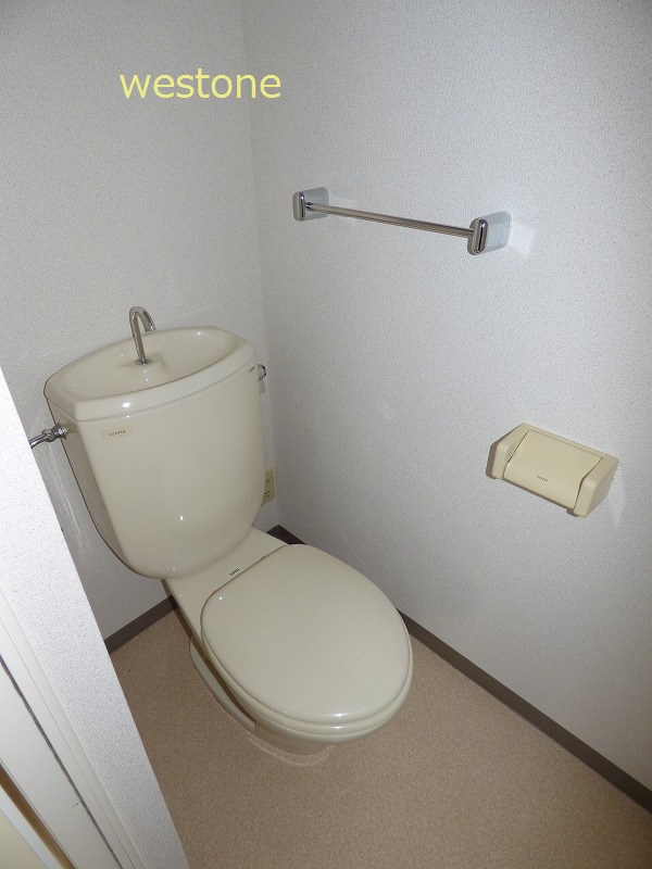 Toilet. Toilet with cleanliness.