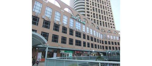 Other Environmental Photo. Anyone can use if to Festa Tachibana before the 1200m-school children towards their parents, There is also a playroom to play in parent and child, It is complete child support. Multi-purpose hall is available to those meetings and events.