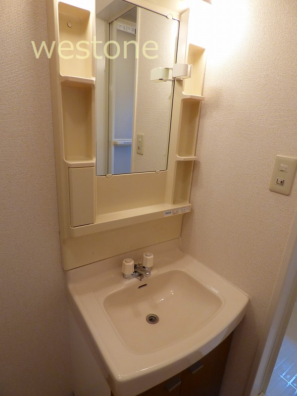 Washroom. Bathroom vanity
