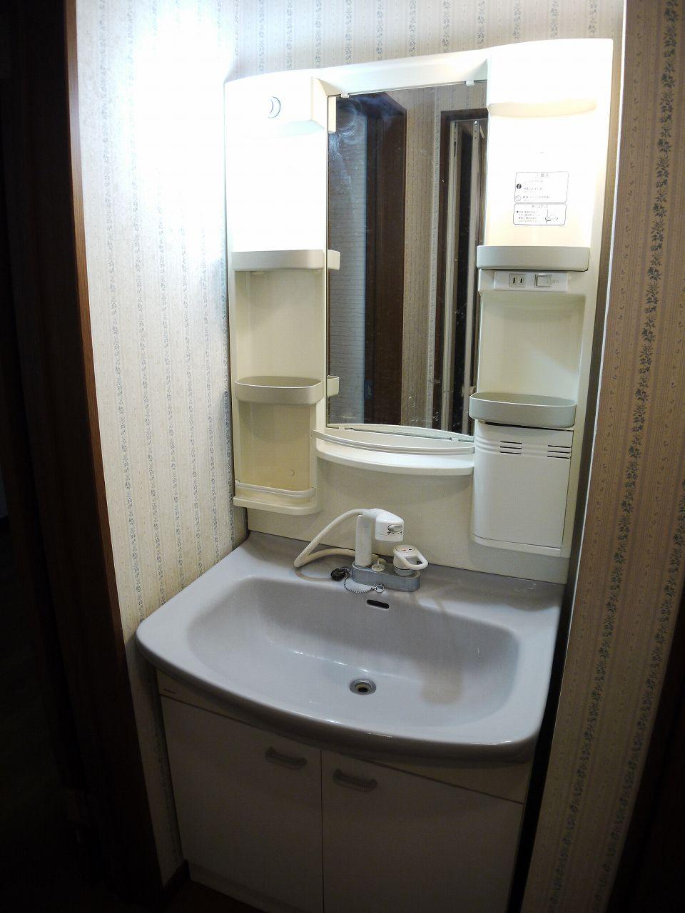 Wash basin, toilet. Basin is the vanity of the shower