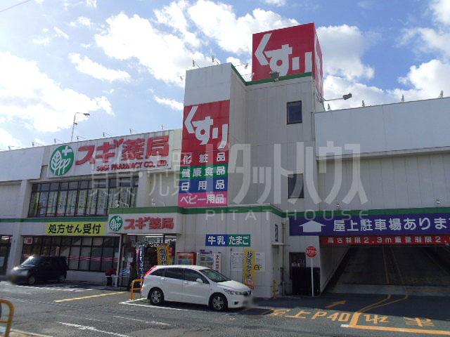 Drug store. 1009m until cedar pharmacy Koya shop