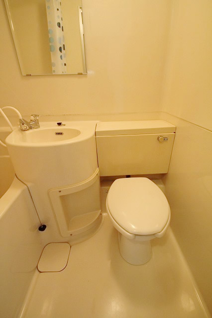 Toilet. Unit bath in the toilet
