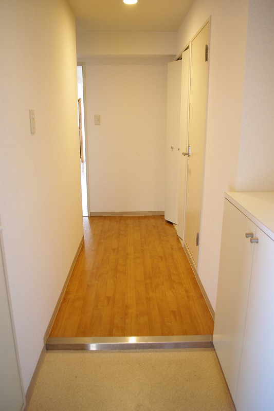Entrance. I do not see the room from the front door