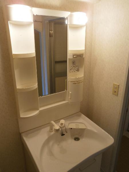 Washroom. Shampoo dresser
