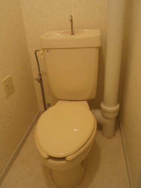 Toilet. Toilet