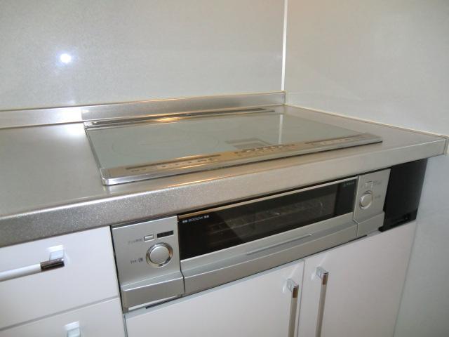 Kitchen. Local photo (kitchen)