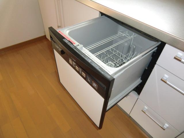 Kitchen. Local photo (kitchen)