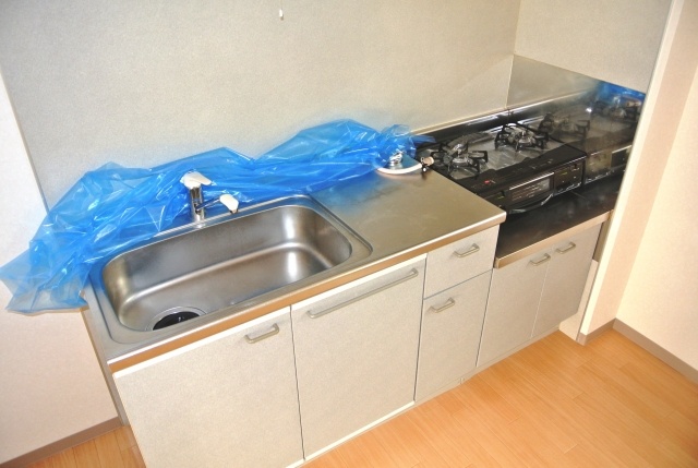 Kitchen. Shiny kitchen